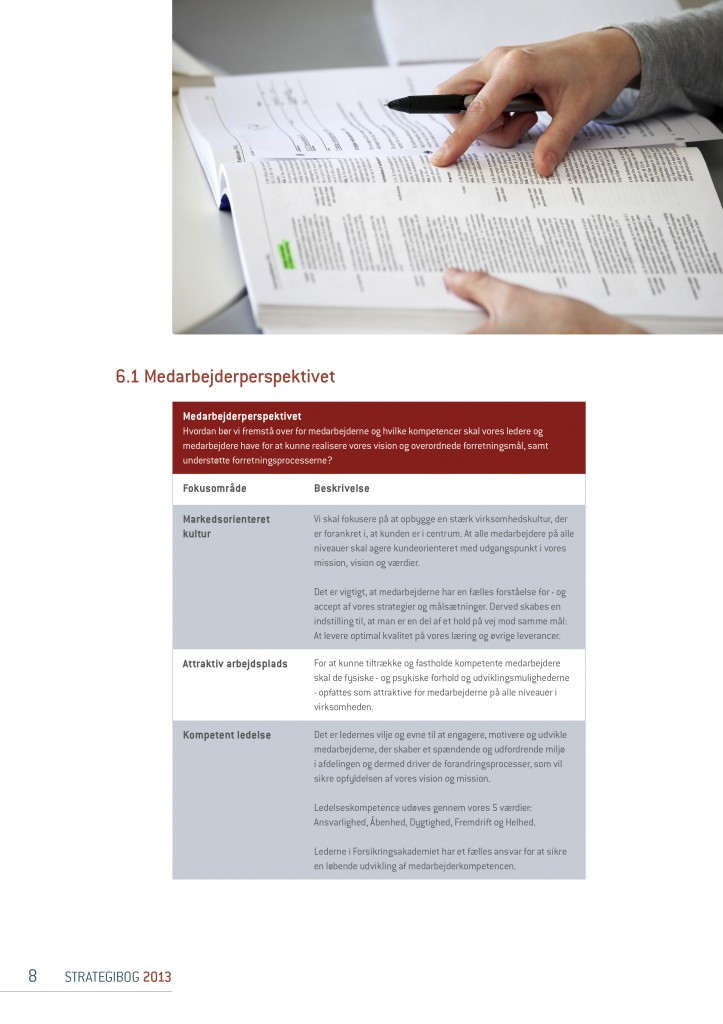 Strategibog.2013.FOAK.tryk3